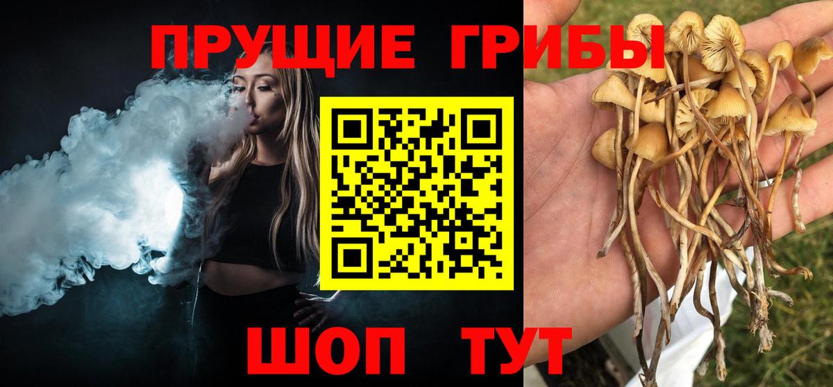 Галлюциногенные грибы мухоморы  Псилоцибиновые грибы ЛСД  Вход с VPN  Домодедово 